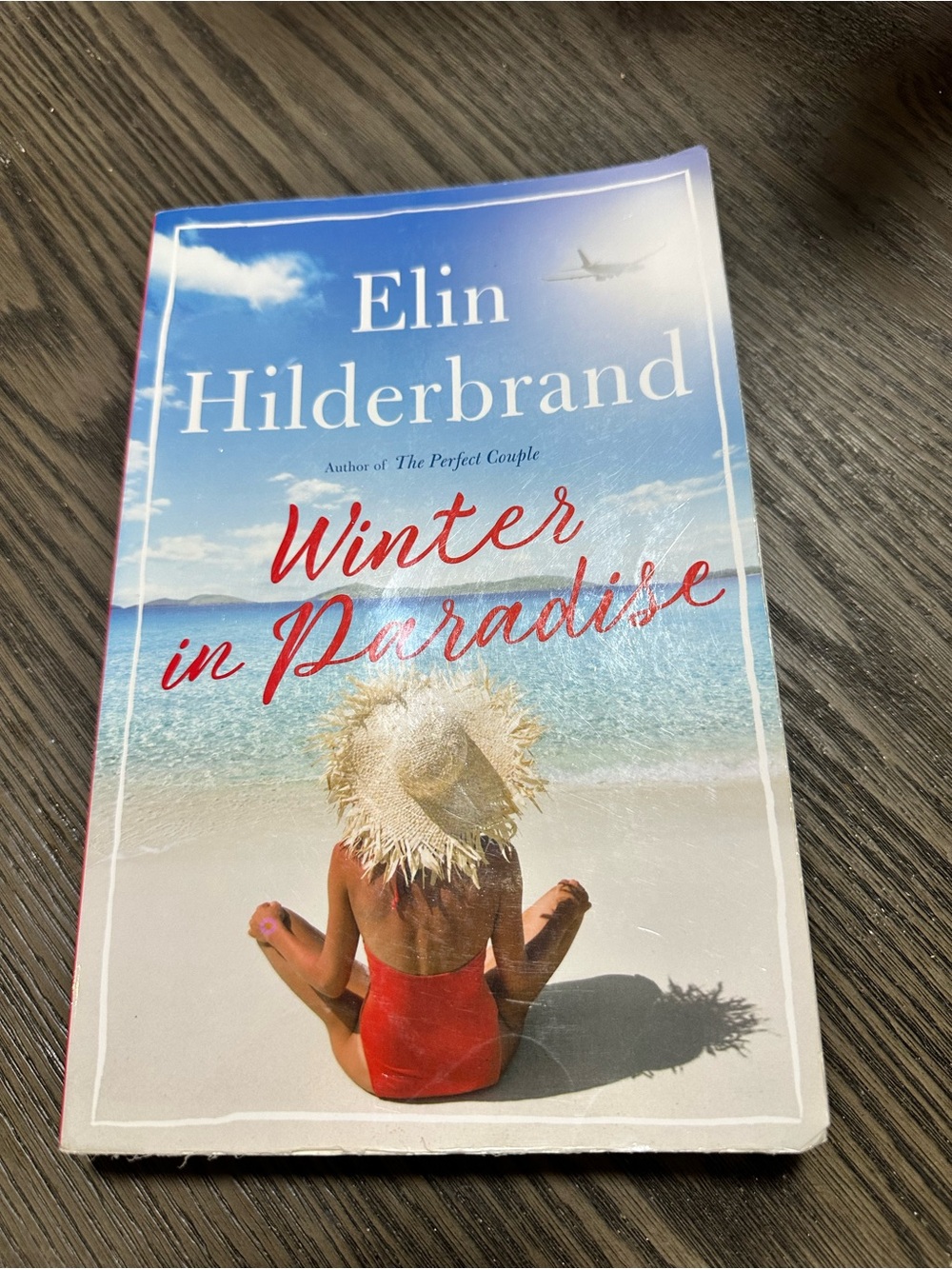 📚4 for $30 BOOK SALE - Winter in Paradise - Elin Hilderbrand